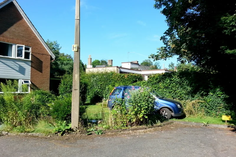 An overgrown front garden with a car parked among the weeds